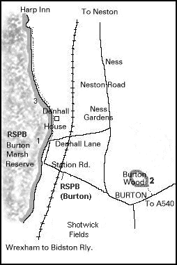 Burton