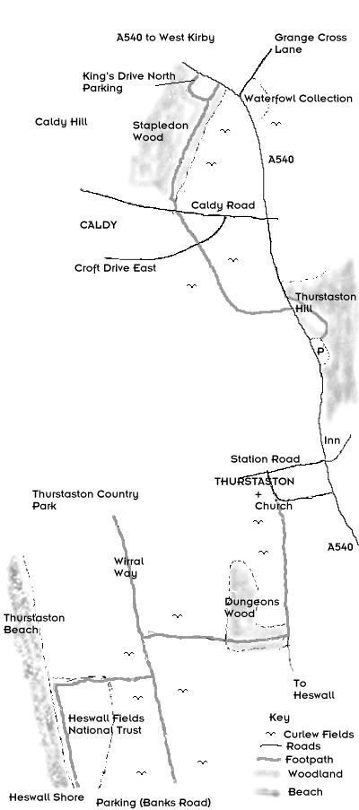 Curlew walk map