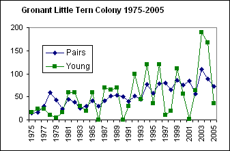 Little Tern Graph