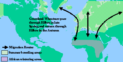 Wheatear map