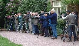 Twitchers in the garden!